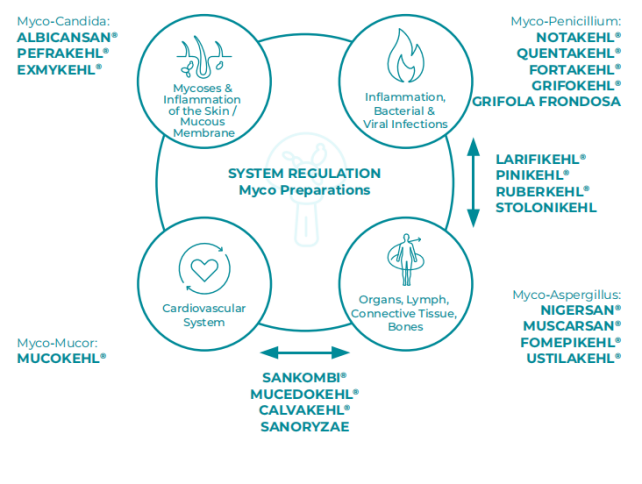 SANUM 系统调节示意图